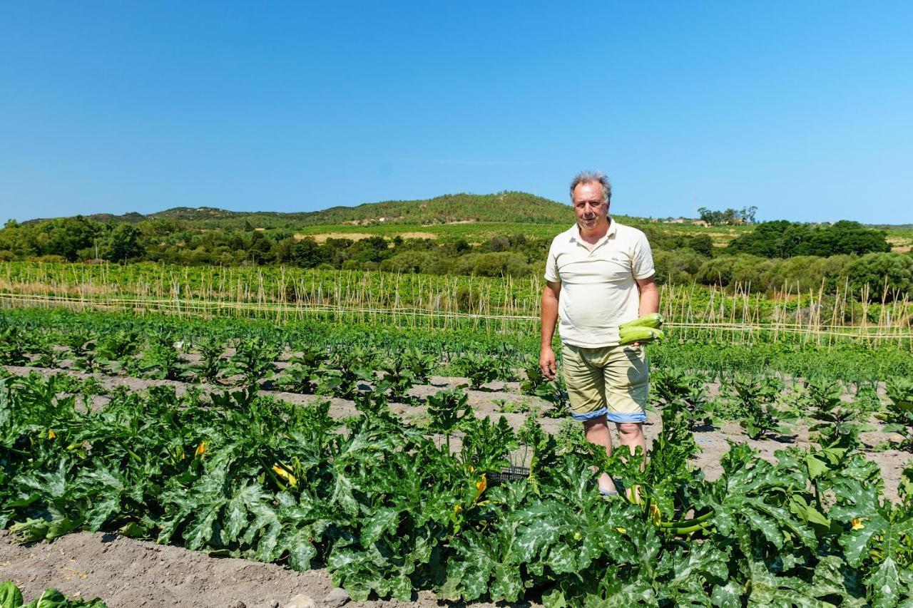 Agriturismo Lu Nodu Greuli Екстериор снимка